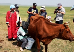游客体验蒙古族游牧生活，玩儿嗨了！