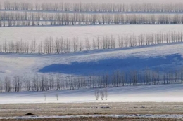 行走蒙古之源头 对话额尔古纳河右岸