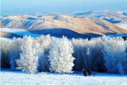 内蒙古有一种美景叫雾凇，美如仙境宛若童话