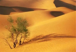 “中国最神奇的沙漠草原” ——通湖
